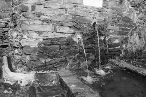 Fotografia de Victor R. Hervias - Galeria Fotografica: mirada en blanco y negro - Foto: 