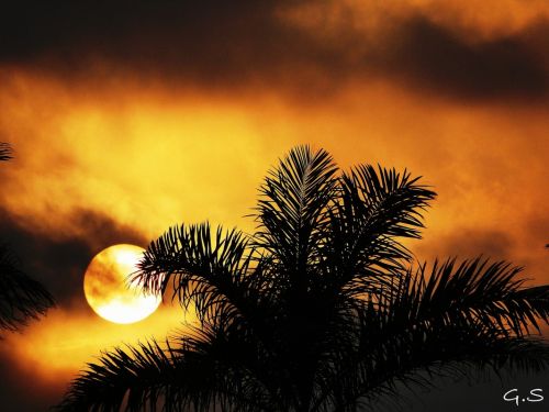 Fotografia de Galo S - Galeria Fotografica: Atardeceres - Foto: 