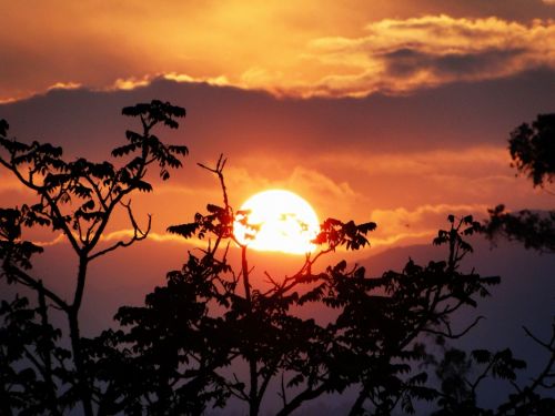 Fotografia de Galo S - Galeria Fotografica: Atardeceres - Foto: 