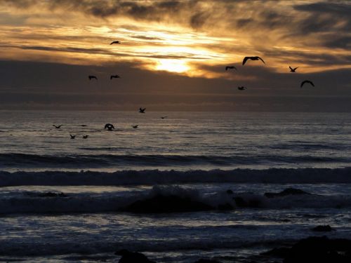 Fotografia de Galo S - Galeria Fotografica: Atardeceres - Foto: 