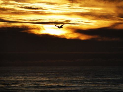 Fotografia de Galo S - Galeria Fotografica: Atardeceres - Foto: 