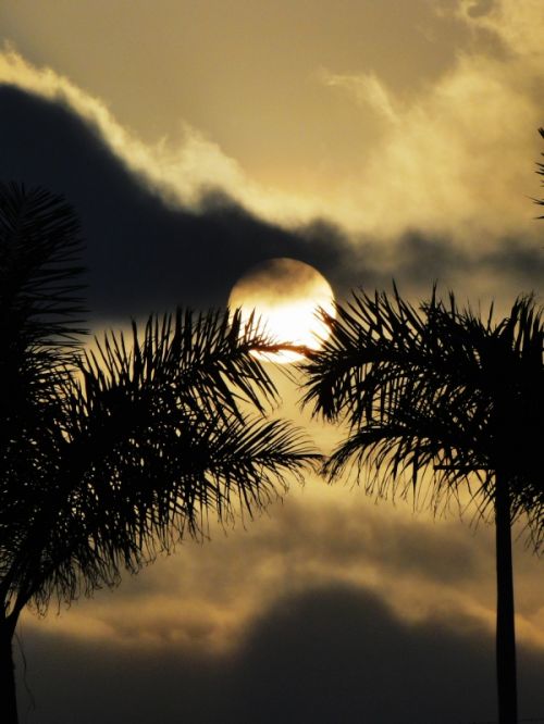 Fotografia de Galo S - Galeria Fotografica: Atardeceres - Foto: 