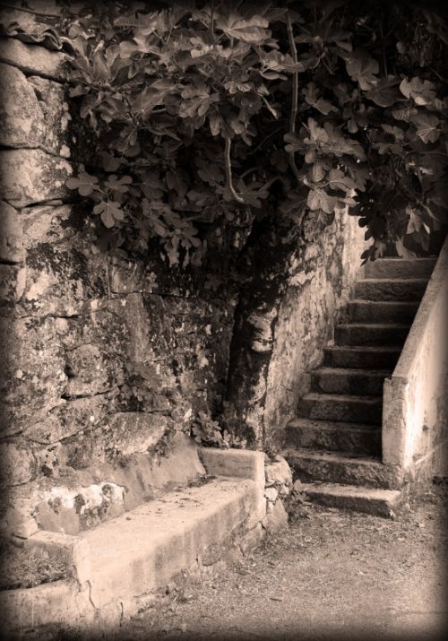 Fotografia de FOTOGRAFIA DIGITAL  - Galeria Fotografica: EXTERIORES - Foto: 