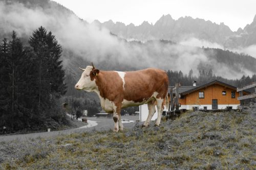 Fotografia de chem85 - Galeria Fotografica: Naturaleza - Foto: 