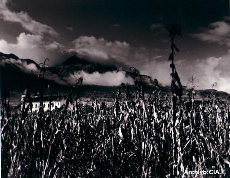 Fotografia de Centro de la Imagen de la Alianza Francesa - Galeria Fotografica: Paisajes - Foto: 2