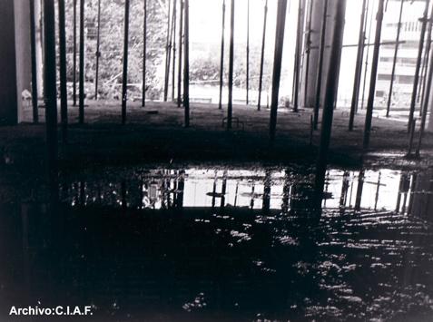 Fotografia de Centro de la Imagen de la Alianza Francesa - Galeria Fotografica: Paisajes - Foto: 3