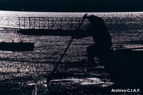 Fotografia de Centro de la Imagen de la Alianza Francesa - Galeria Fotografica: Paisajes - Foto: 4