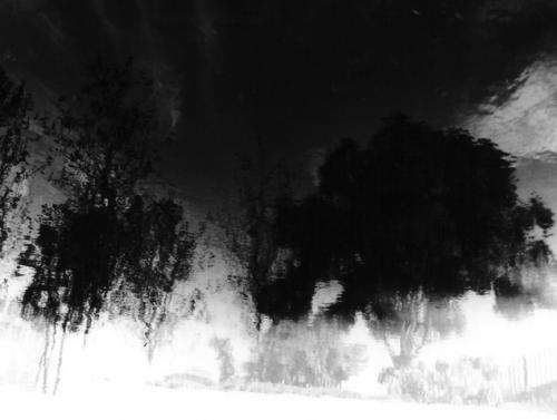 Fotografia de Centro de la Imagen de la Alianza Francesa - Galeria Fotografica: curso 70 - Foto: 9