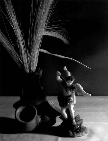 Fotografia de Centro de la Imagen de la Alianza Francesa - Galeria Fotografica: curso 69 - Foto: 9