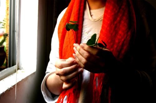 Fotografia de marco garcia - Galeria Fotografica: caja de zapatos - Foto: 