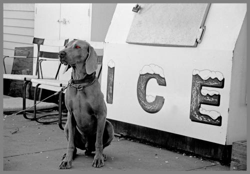 Fotografia de julianceronphotography - Galeria Fotografica: De todo un poco - Foto: 