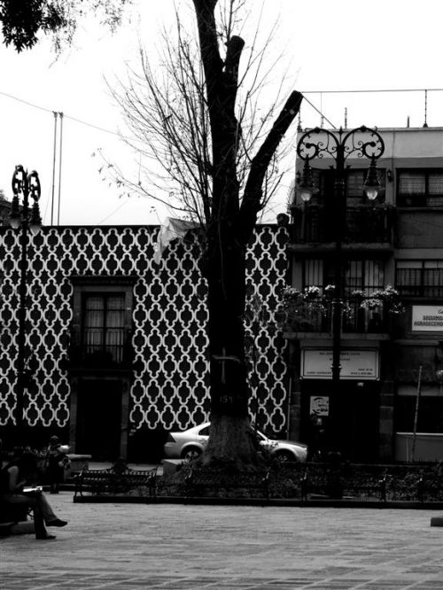 Fotografia de Mike.Castro.Fragmentos de Realidad.Photo - Galeria Fotografica: ::Primera Galeria::  - Foto: Coyoacan, DF, Mexico