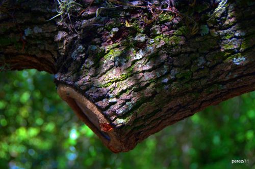 Fotografia de perez - Galeria Fotografica: Aqui. - Foto: 