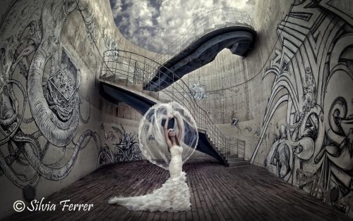 Fotografia de Silvia Ferrer - Galeria Fotografica: Varios - Foto: 