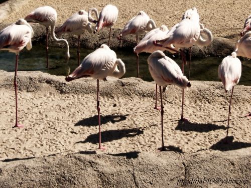 Fotografia de medina - Galeria Fotografica: fotos variadas - Foto: EL DESCANSO