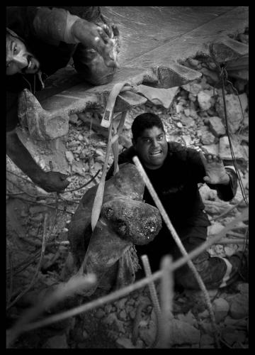 Fotografia de Guillem Valle - Galeria Fotografica: El precio de la victoria - Foto: El precio de la victoria