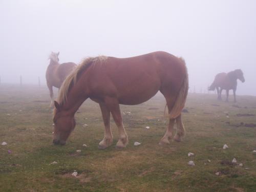 Fotografia de Charo Guijarro Izquierdo - Galeria Fotografica: MIRAR PARA ARRIBA - Foto: 