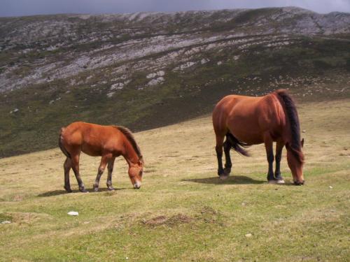 Fotografia de Charo Guijarro Izquierdo - Galeria Fotografica: MIRAR PARA ARRIBA - Foto: 