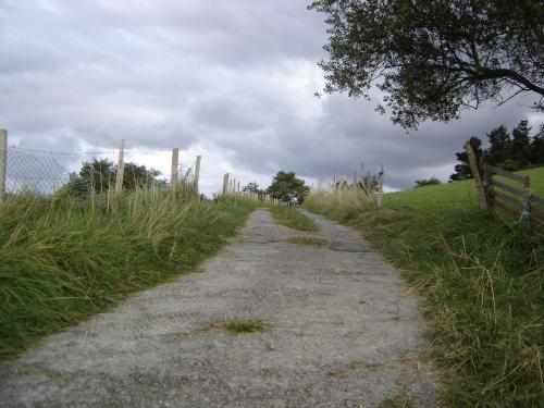 Fotografia de Charo Guijarro Izquierdo - Galeria Fotografica: MIRAR PARA ARRIBA - Foto: 