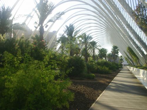 Fotografia de MartaXp - Galeria Fotografica: Valencia - Foto: Jardin