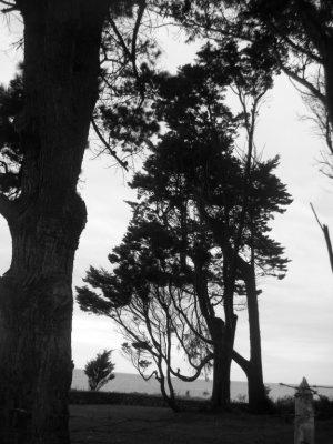 Fotografia de gra - Galeria Fotografica: Fotoss - Foto: 