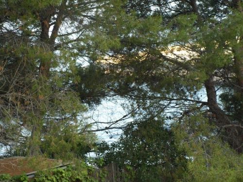 Fotografia de Chano Maiques - Galeria Fotografica: OROSPESA DEL MAR (CASTELLON) - Foto: 