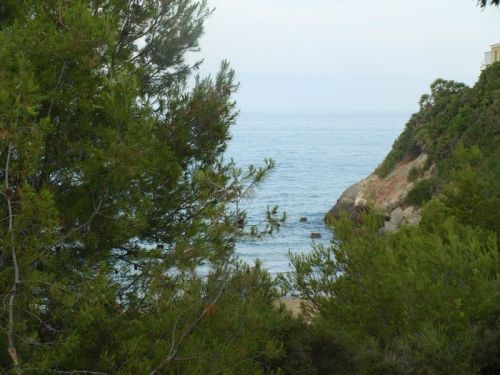 Fotografia de Chano Maiques - Galeria Fotografica: OROSPESA DEL MAR (CASTELLON) - Foto: 