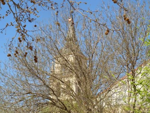 Fotografia de Chano Maiques - Galeria Fotografica: ALCAL DE HENARES (MADRID) - Foto: 