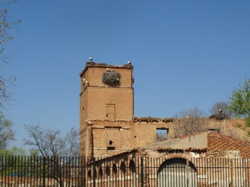 Fotografia de Chano Maiques - Galeria Fotografica: ALCAL DE HENARES (MADRID) - Foto: 