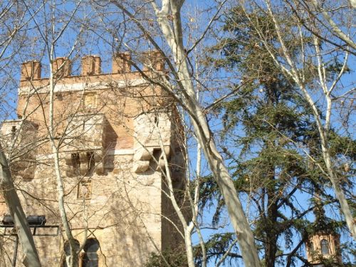 Fotografia de Chano Maiques - Galeria Fotografica: ALCAL DE HENARES (MADRID) - Foto: 