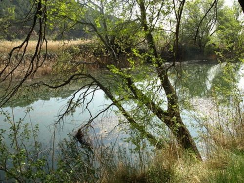 Fotografia de Chano Maiques - Galeria Fotografica: ALCAL DE HENARES (MADRID) - Foto: 