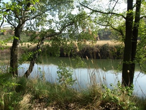 Fotografia de Chano Maiques - Galeria Fotografica: ALCAL DE HENARES (MADRID) - Foto: 