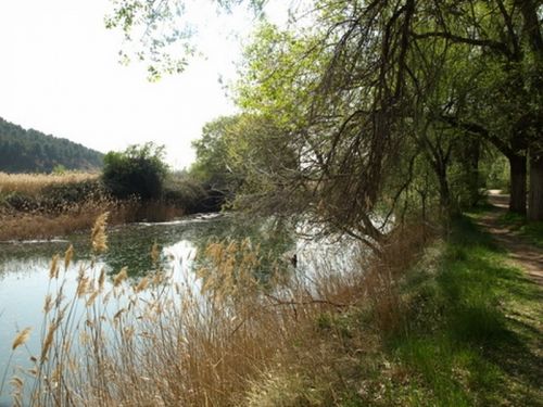 Fotografia de Chano Maiques - Galeria Fotografica: ALCAL DE HENARES (MADRID) - Foto: 