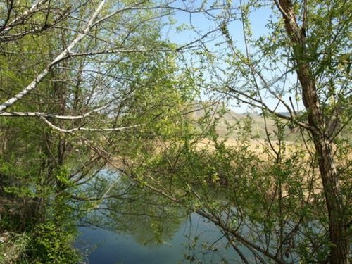 Fotografia de Chano Maiques - Galeria Fotografica: ALCAL DE HENARES (MADRID) - Foto: 