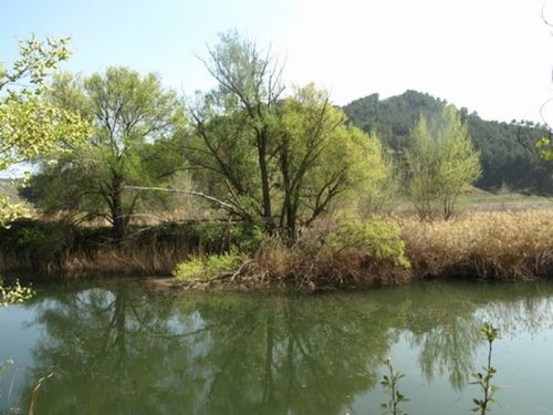 Fotografia de Chano Maiques - Galeria Fotografica: ALCAL DE HENARES (MADRID) - Foto: 