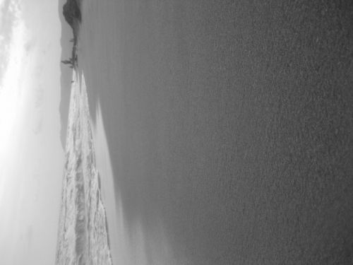 Fotografia de luciana - Galeria Fotografica: el gato - Foto: 