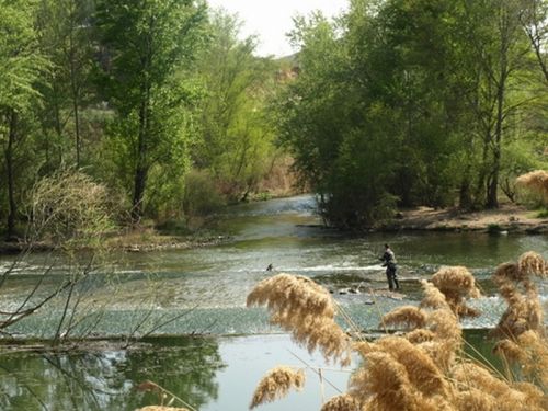 Fotografia de Chano Maiques - Galeria Fotografica: ALCAL DE HENARES (MADRID) - Foto: 