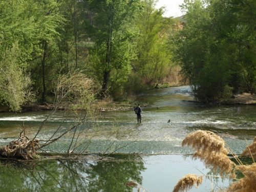 Fotografia de Chano Maiques - Galeria Fotografica: ALCAL DE HENARES (MADRID) - Foto: 