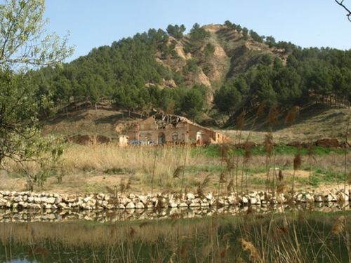 Fotografia de Chano Maiques - Galeria Fotografica: ALCAL DE HENARES (MADRID) - Foto: 