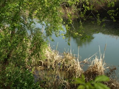 Fotografia de Chano Maiques - Galeria Fotografica: ALCAL DE HENARES (MADRID) - Foto: 