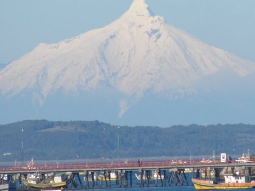 Fotografia de patricio - Galeria Fotografica: aves  - Foto: 
