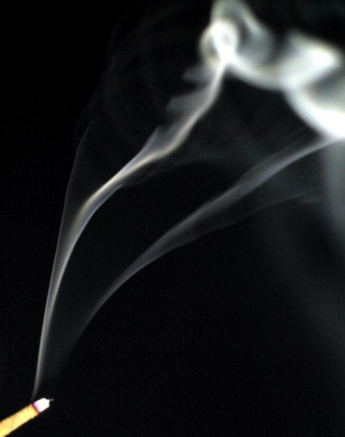 Fotografia de P. Costa - Galeria Fotografica: VOLUTAS RELAJANTES - Foto: 