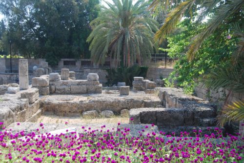 Fotografia de th3f1nd3r - Galeria Fotografica: Paisajes  - Foto: Jardin Rodas