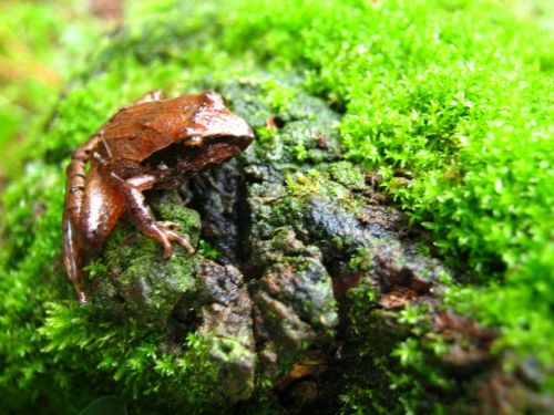 Fotografia de Aram Isa� - Galeria Fotografica: Naturaleza - Foto: 