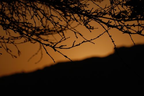 Fotografia de Milcolores - Galeria Fotografica: PAISAJES - Foto: 