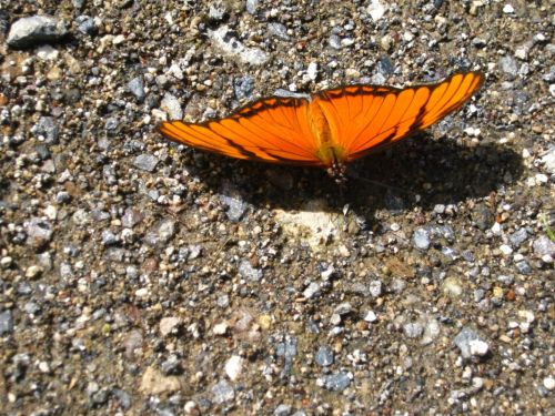 Fotografia de Aram Isa� - Galeria Fotografica: Naturaleza - Foto: 