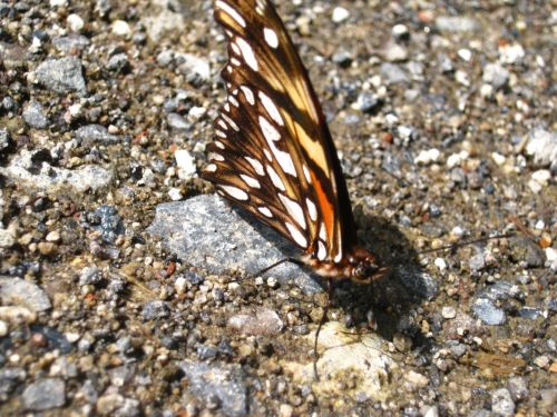 Fotografia de Aram Isa� - Galeria Fotografica: Naturaleza - Foto: 