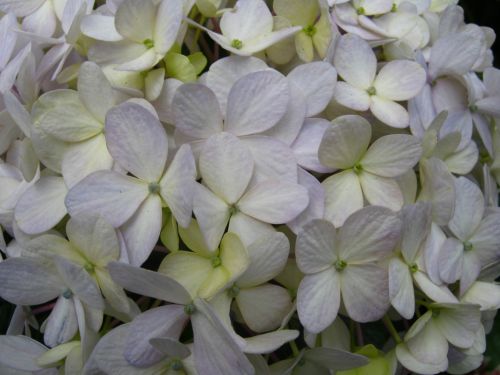 Fotografia de Aram Isa� - Galeria Fotografica: Naturaleza - Foto: 