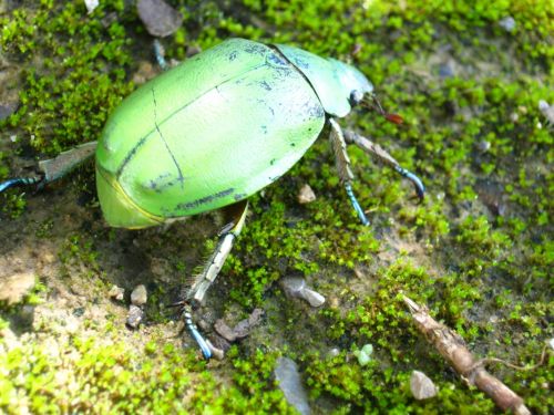 Fotografia de Aram Isa� - Galeria Fotografica: Naturaleza - Foto: 