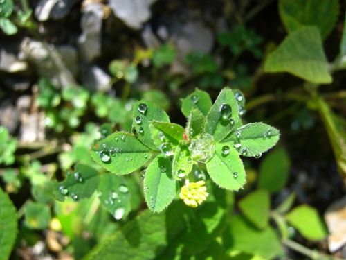 Fotografia de Aram Isa� - Galeria Fotografica: Naturaleza - Foto: 